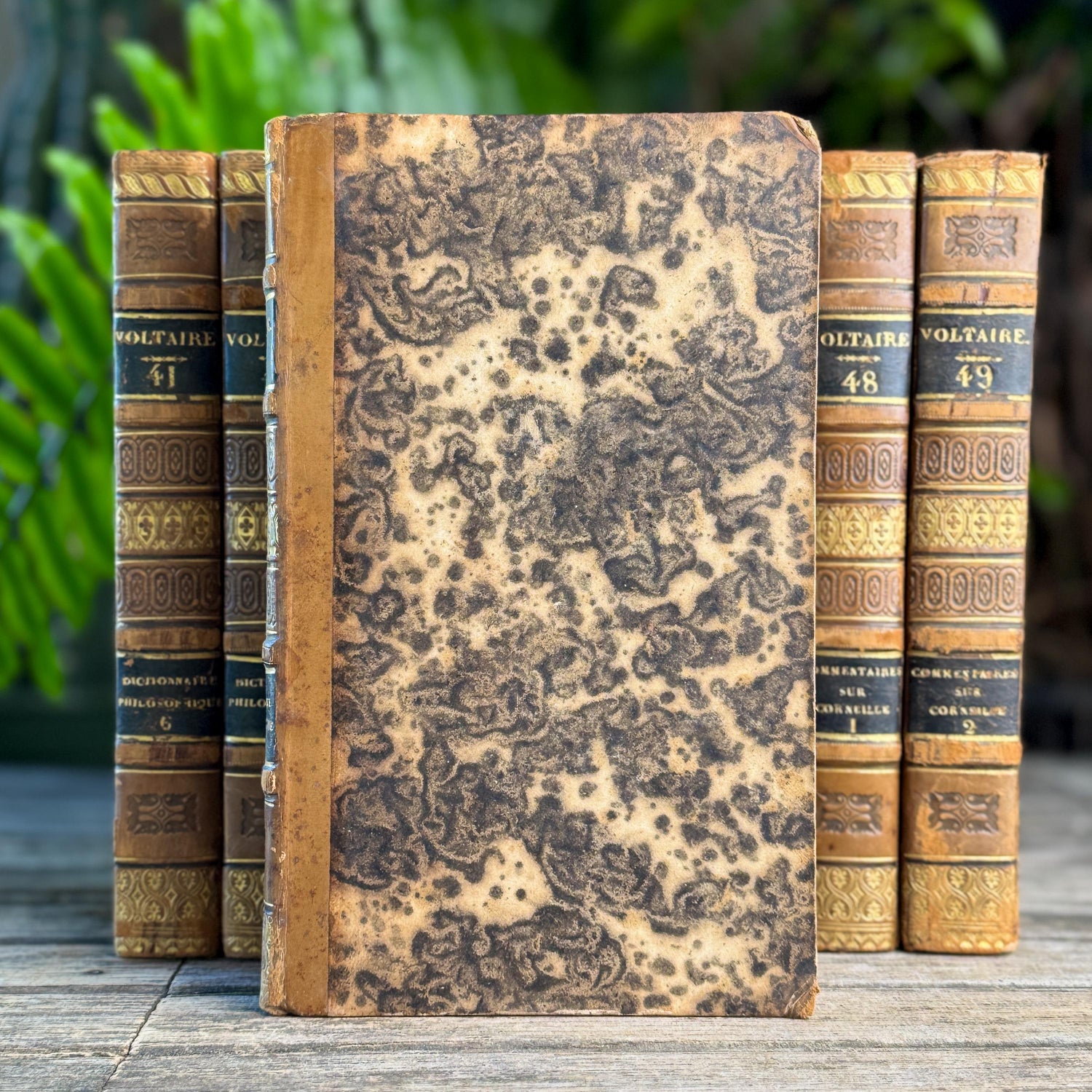 Antique Leather-Bound Voltaire Books in French, 1824, Gold Black and Brown