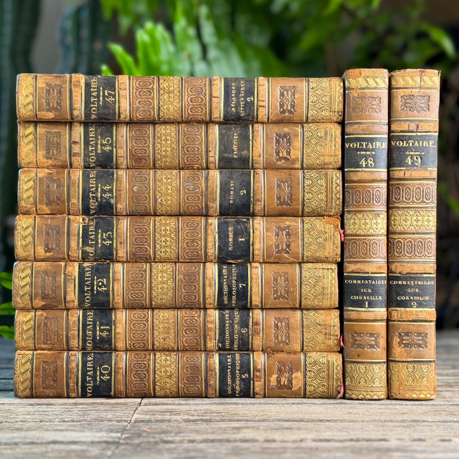 Antique Leather-Bound Voltaire Books in French, 1824, Gold Black and Brown