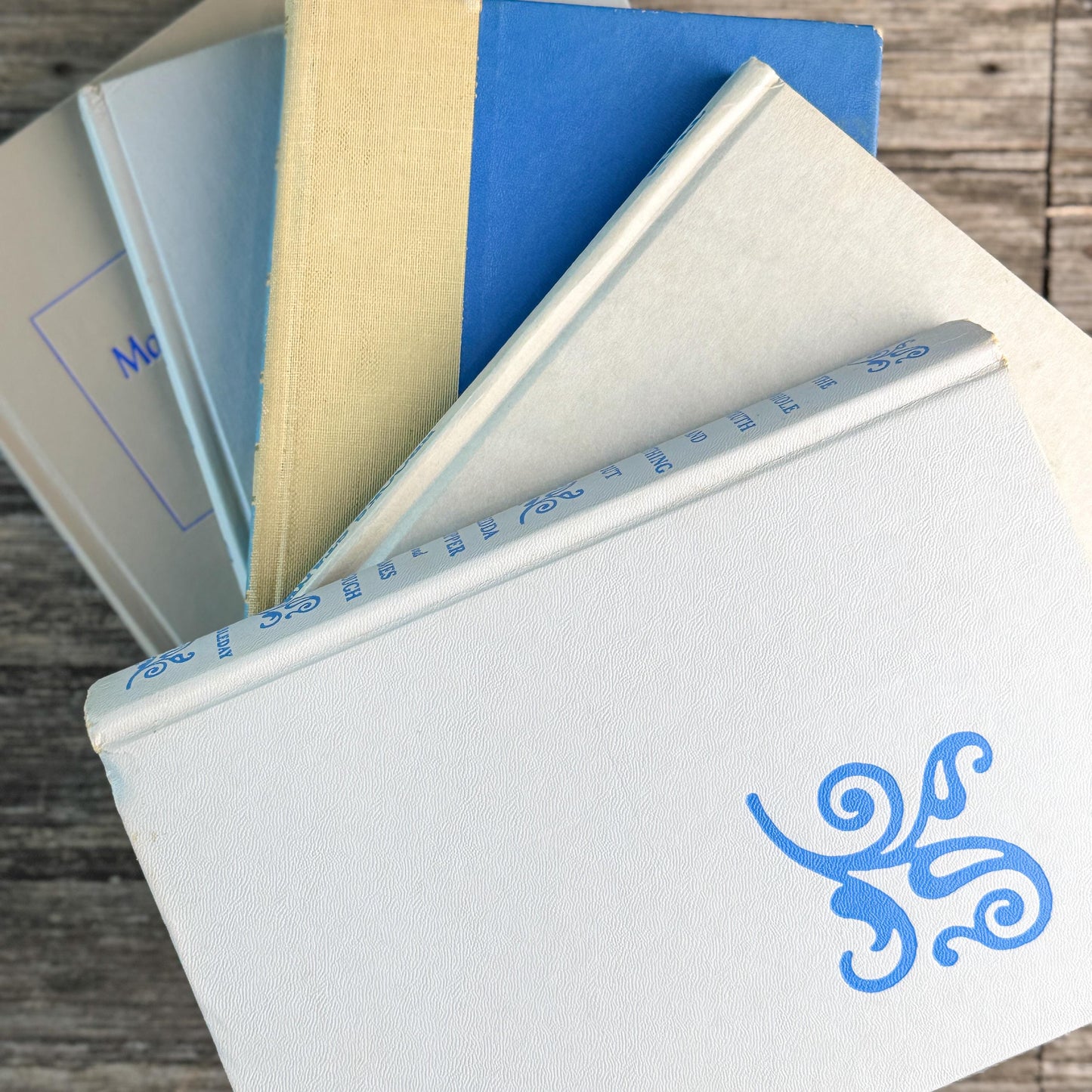 Vintage Tan, Gray, and Blue Book Set for Feminine Mid Century Shelf Styling