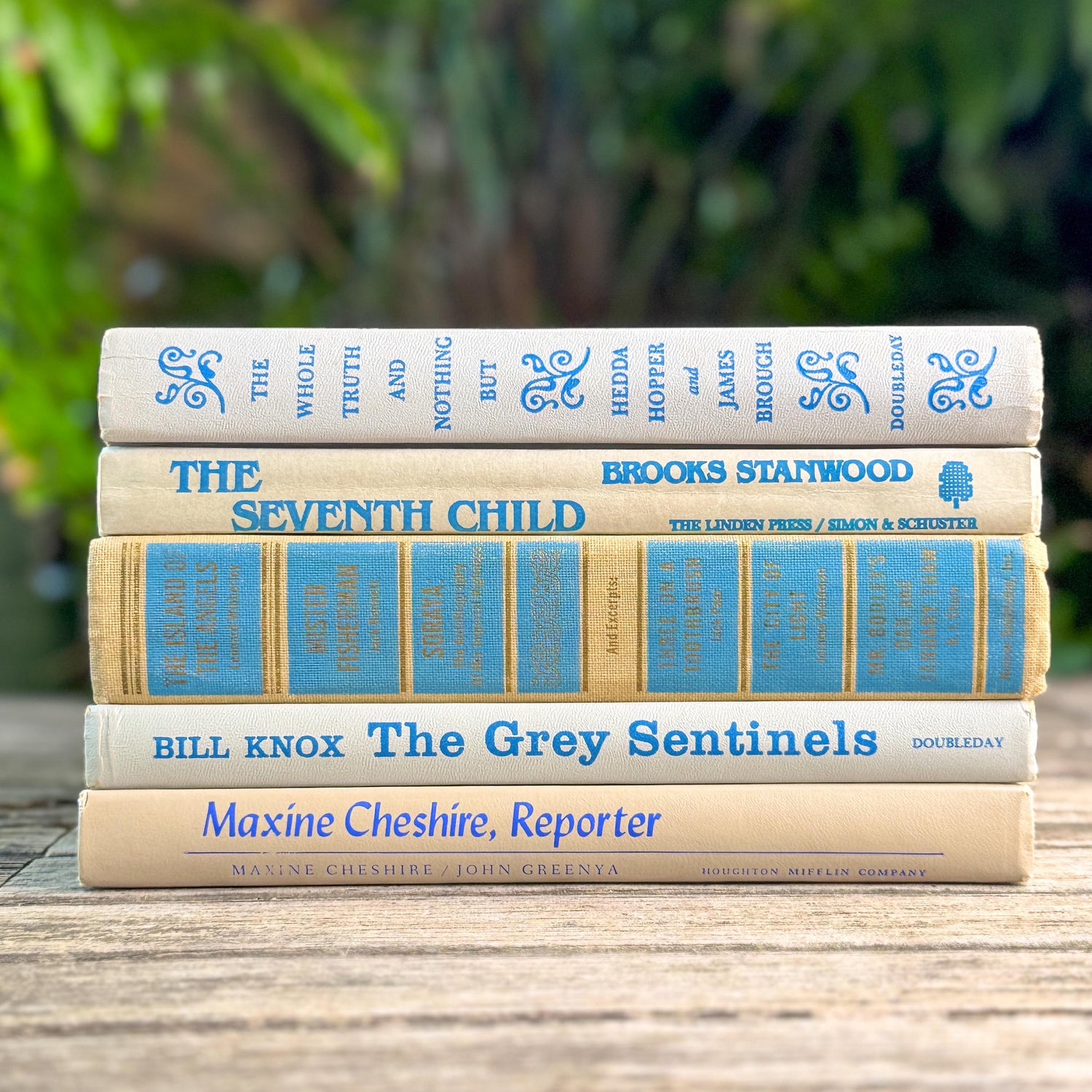 Vintage Tan, Gray, and Blue Book Set for Feminine Mid Century Shelf Styling