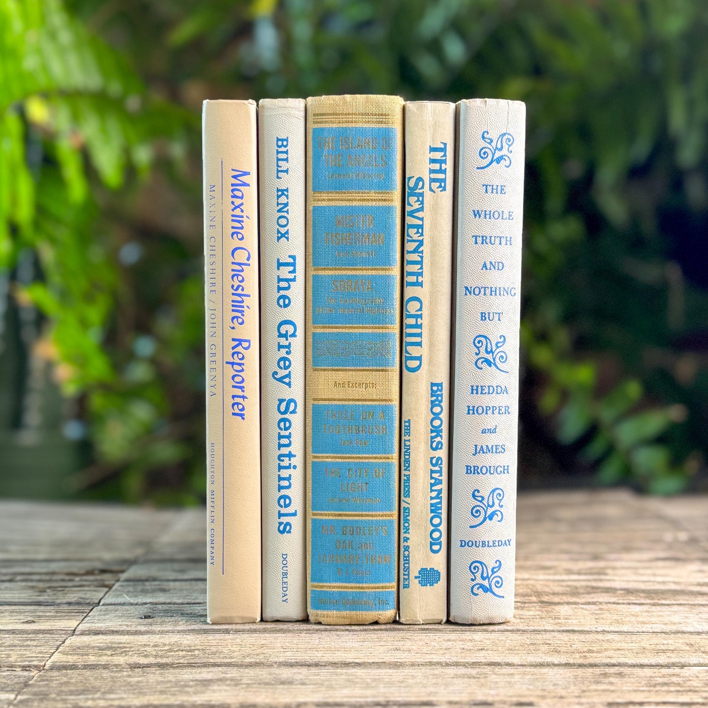 Vintage Tan, Gray, and Blue Book Set for Feminine Mid Century Shelf Styling