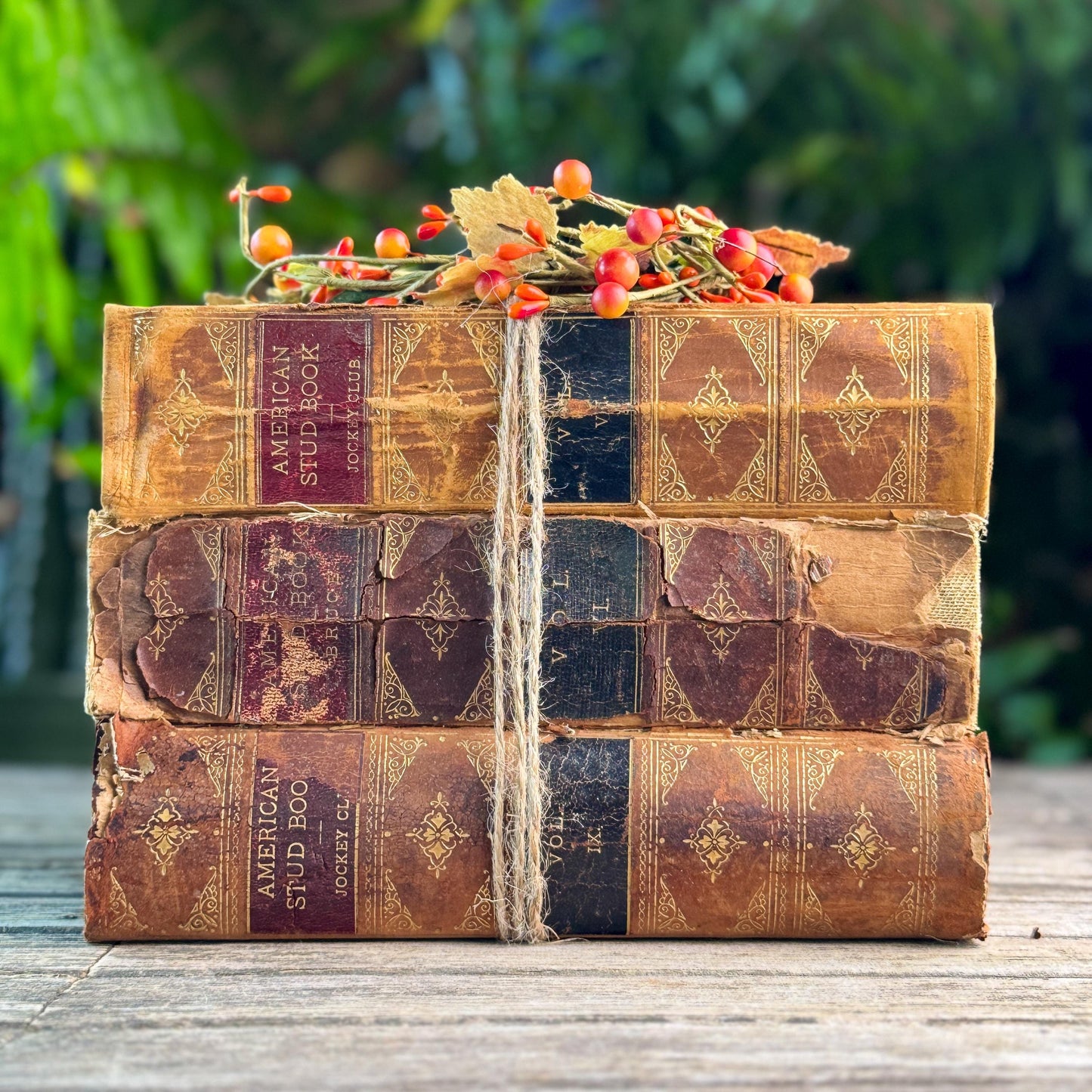 Antique Shabby Leather American Stud Book Set, 1898-1906