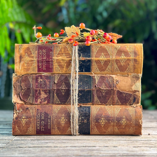 Antique Shabby Leather American Stud Book Set, 1898-1906