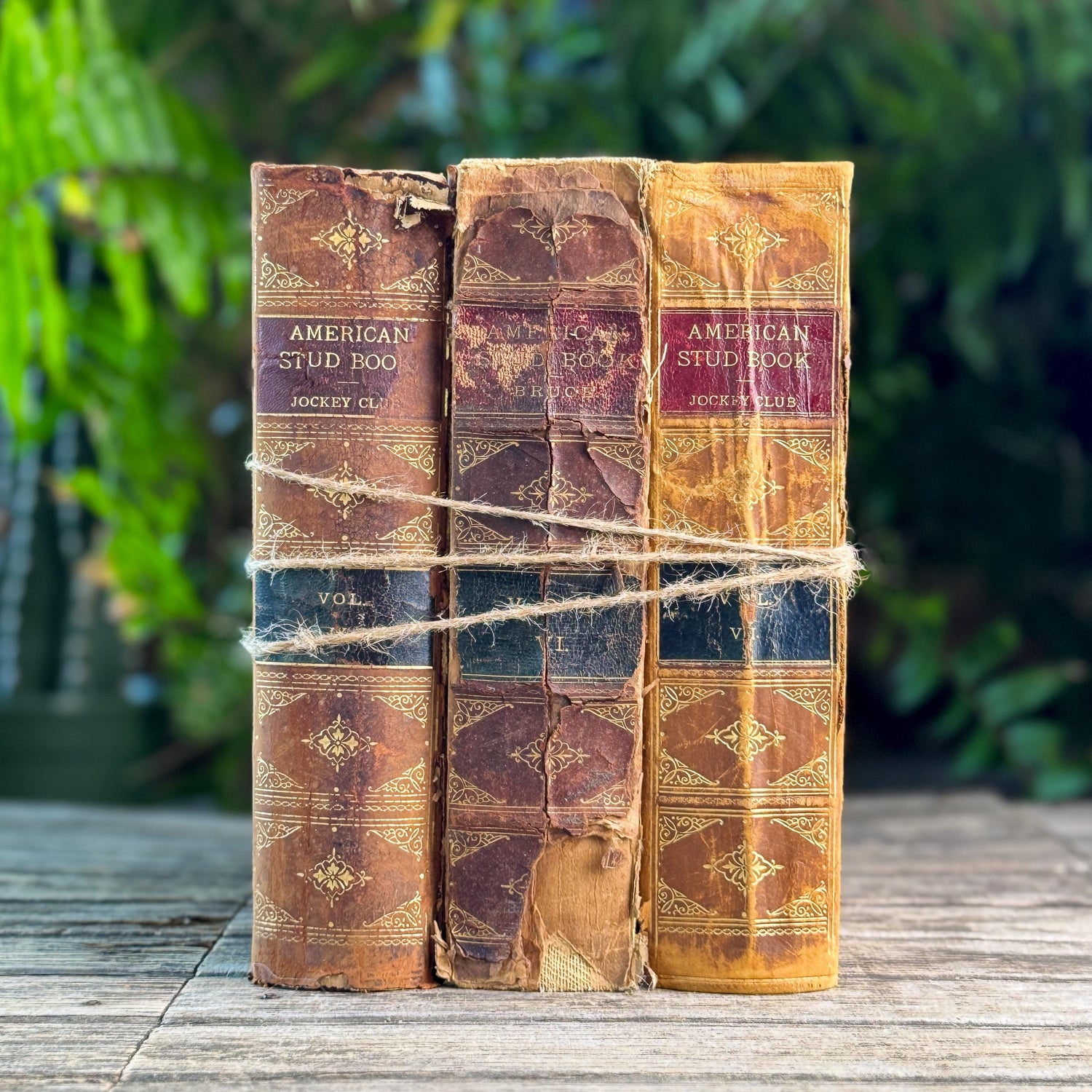 Antique Shabby Leather American Stud Book Set, 1898-1906