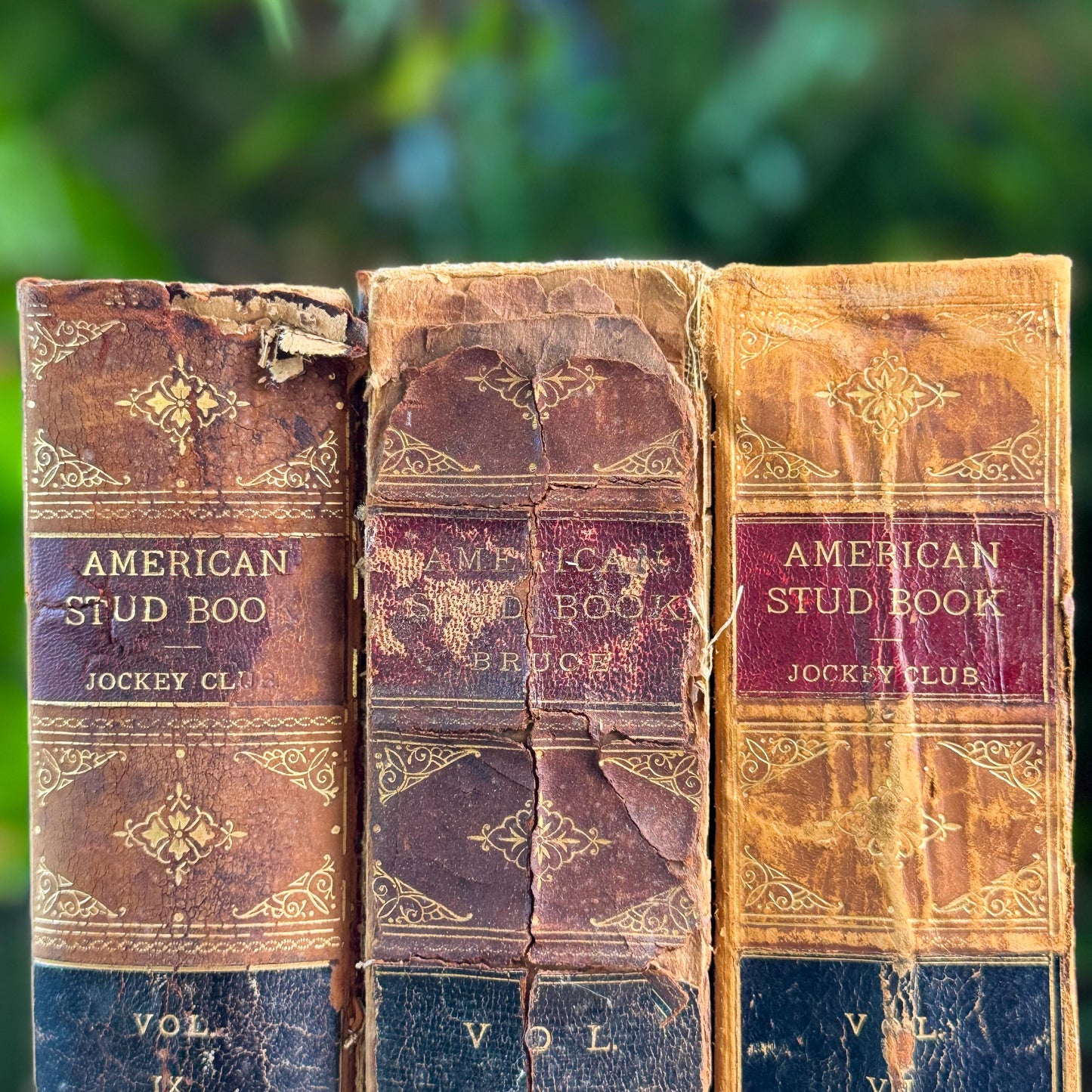 Antique Shabby Leather American Stud Book Set, 1898-1906