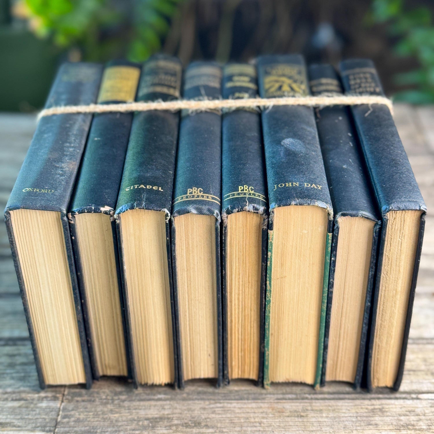 Vintage Black and Gold Book Set For Clean Minimalist Shelf Styling