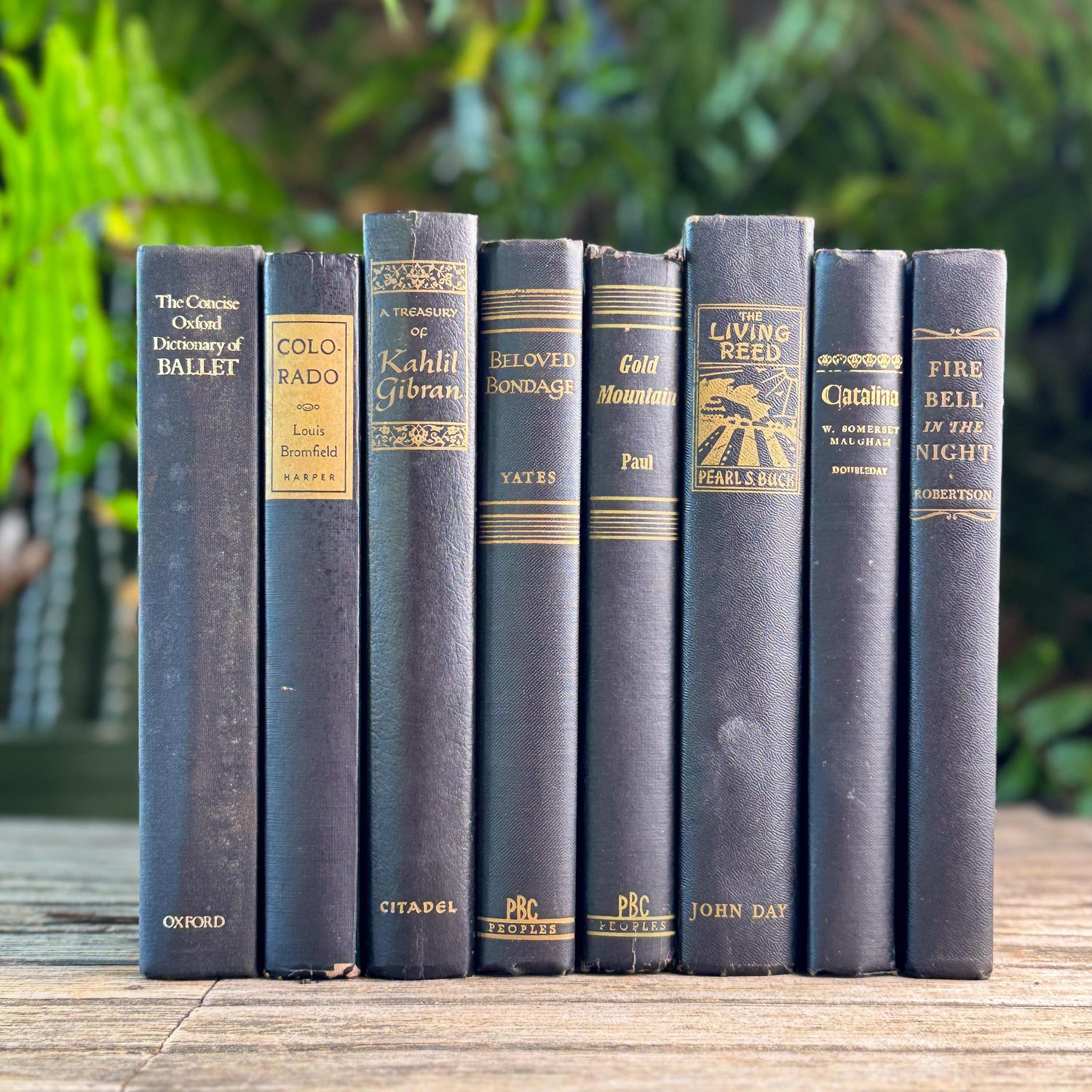Vintage Black and Gold Book Set For Clean Minimalist Shelf Styling
