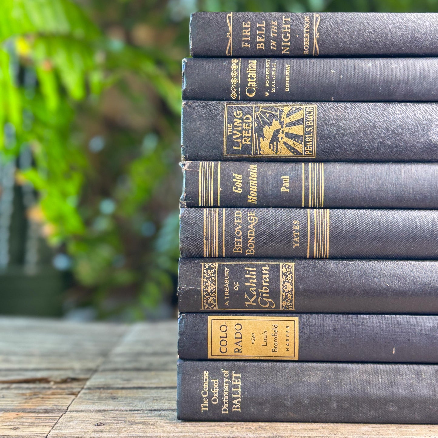Vintage Black and Gold Book Set For Clean Minimalist Shelf Styling