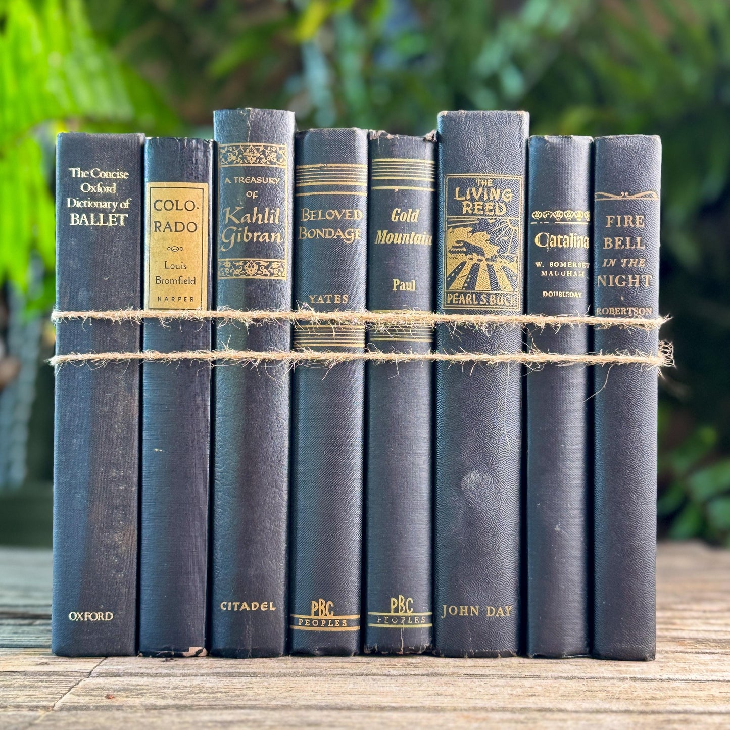 Vintage Black and Gold Book Set For Clean Minimalist Shelf Styling