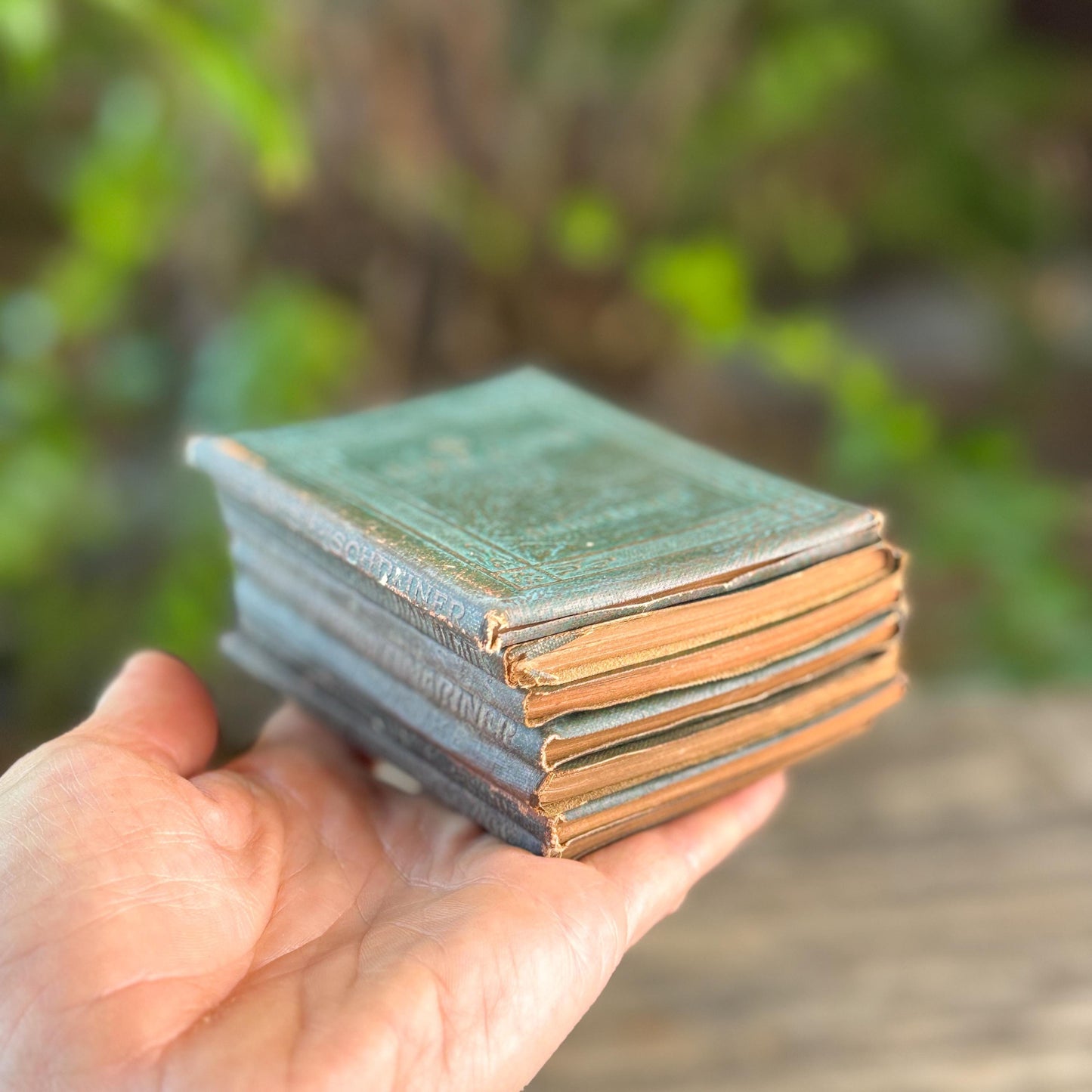 Tiny Antique Green Little Leather Library Book Set of 7