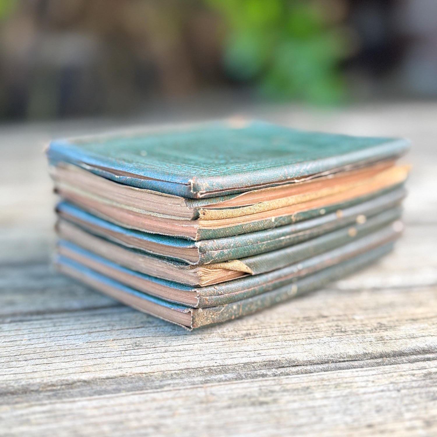 Tiny Antique Green Little Leather Library Book Set of 7