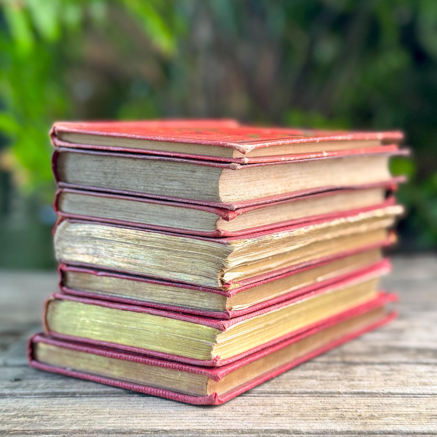 Antique French Red Book Set, 1861-1890, Les Malheurs de Sophie, Bibliothèque Rose & Prize Books, Cartonnage