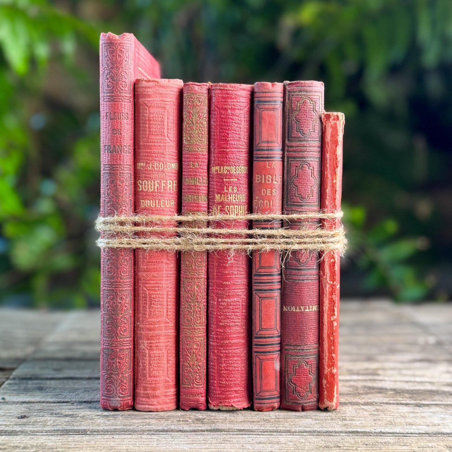 Antique French Red Book Set, 1861-1890, Les Malheurs de Sophie, Bibliothèque Rose & Prize Books, Cartonnage