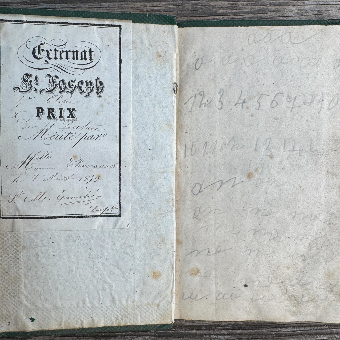 Shabby Antique French Green Book Set, 1822-1874, Seine Map