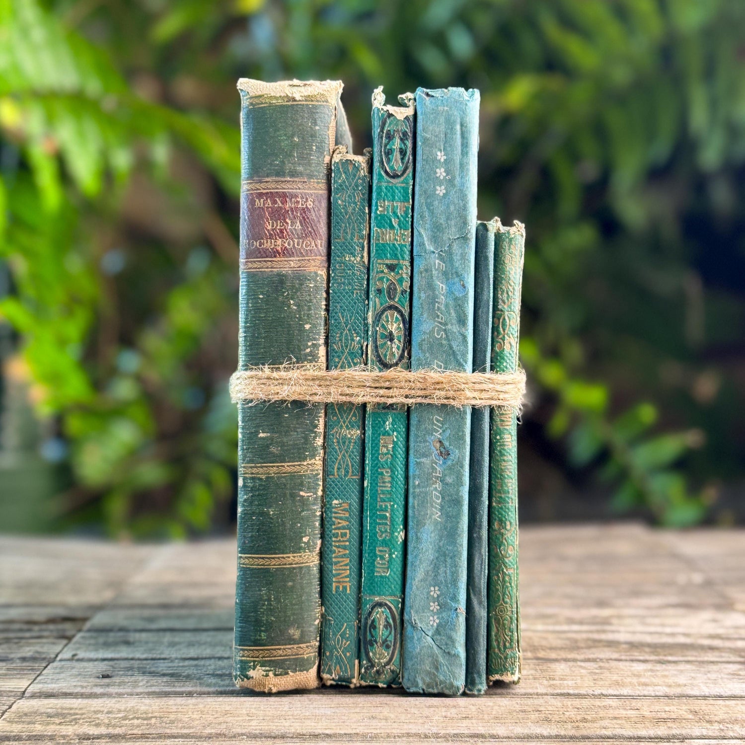 Shabby Antique French Green Book Set, 1822-1874, Seine Map
