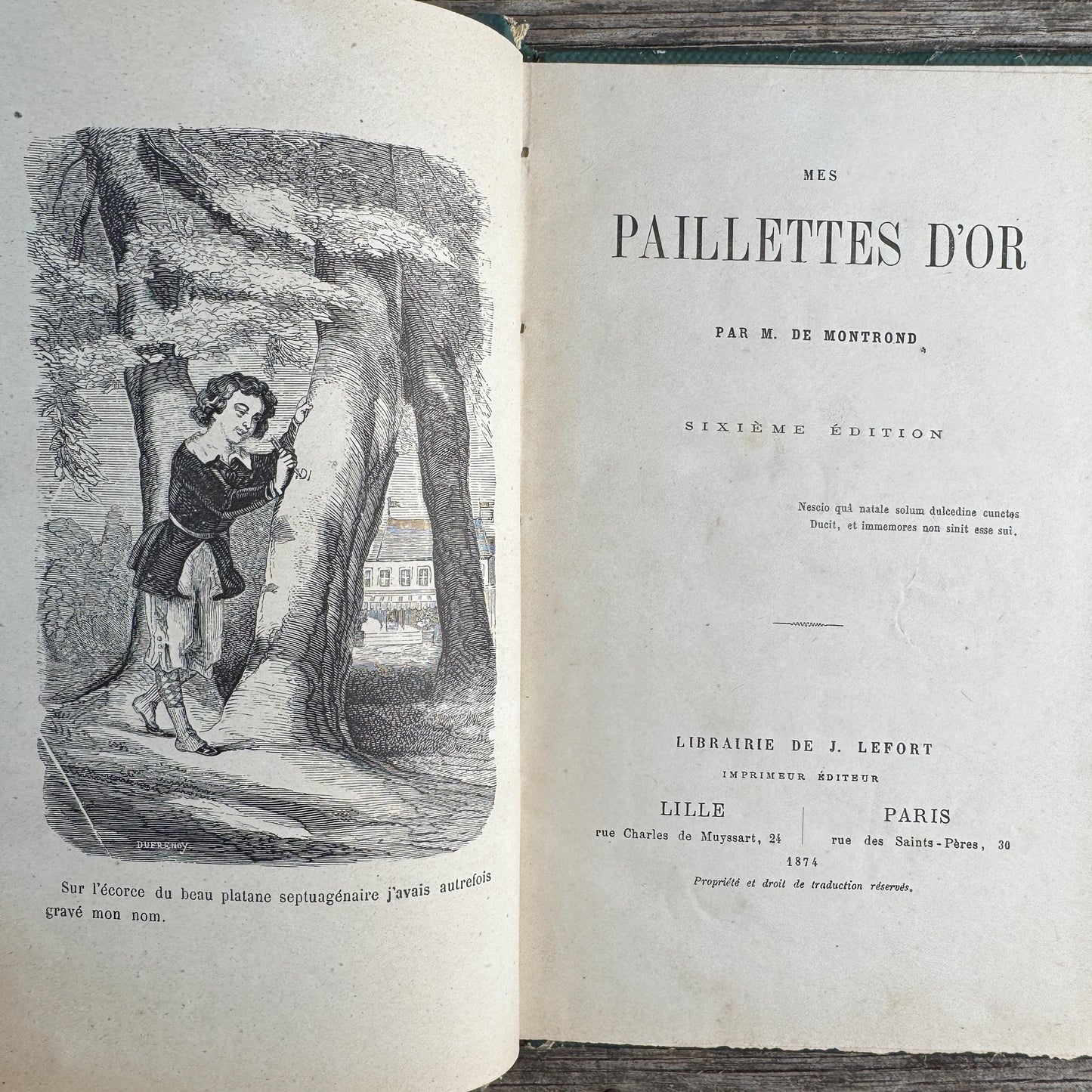 Shabby Antique French Green Book Set, 1822-1874, Seine Map