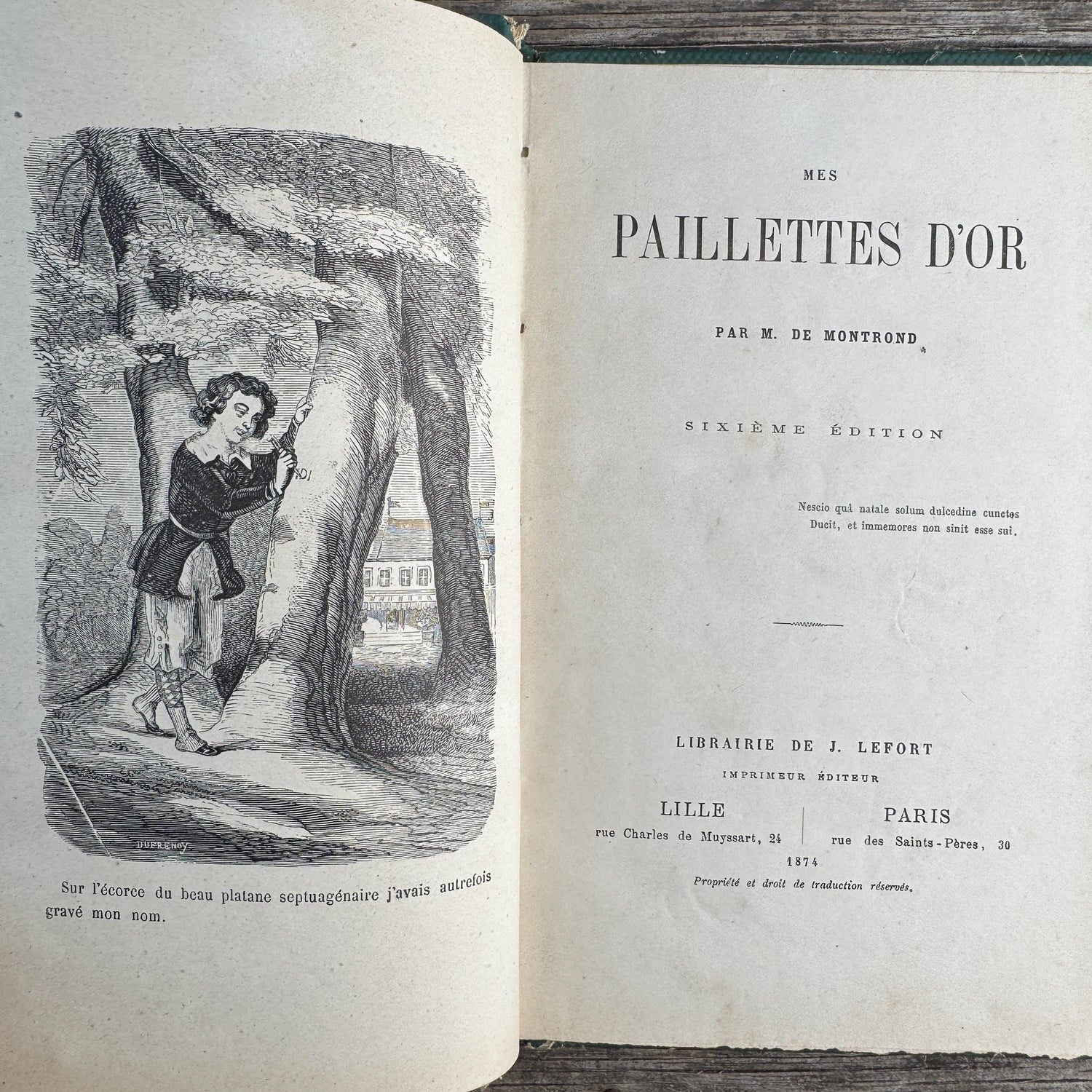 Shabby Antique French Green Book Set, 1822-1874, Seine Map