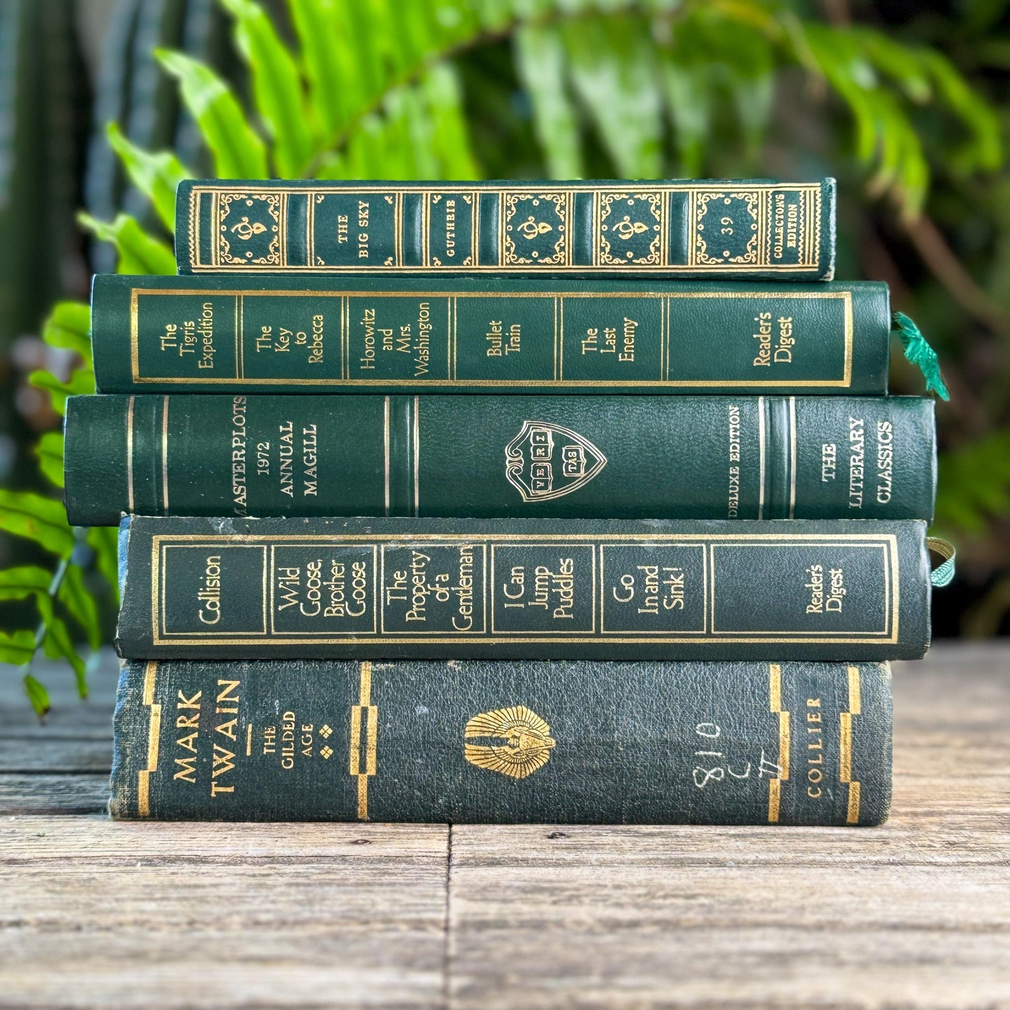 Dark Green & Gold Vintage Book Set for Academic Decor