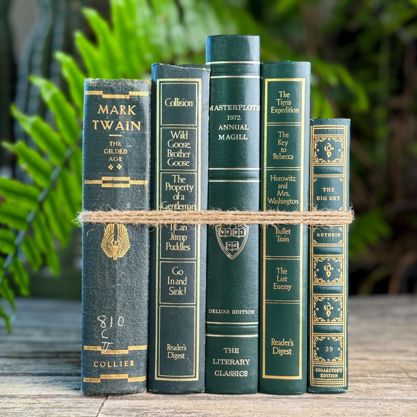 Dark Green & Gold Vintage Book Set for Academic Decor