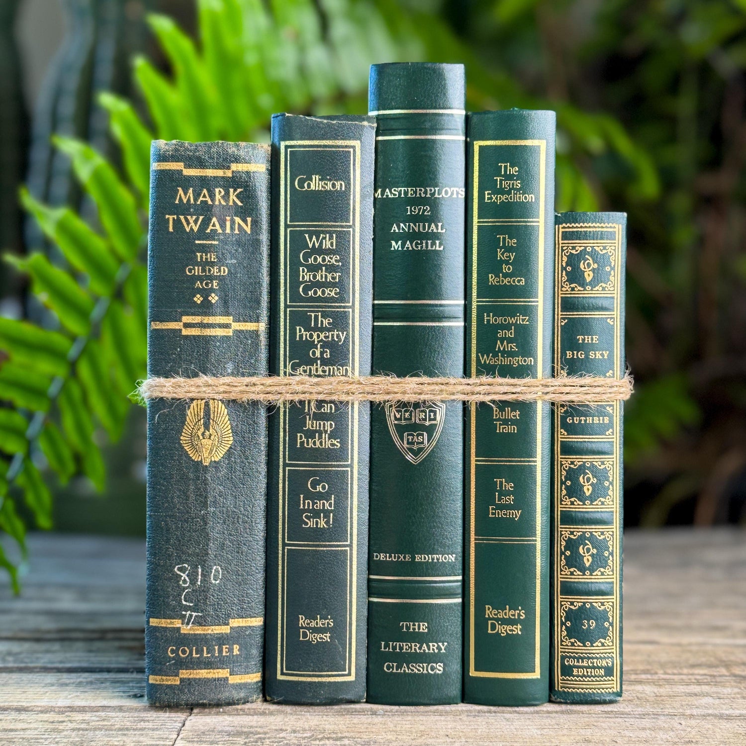 Dark Green & Gold Vintage Book Set for Academic Decor