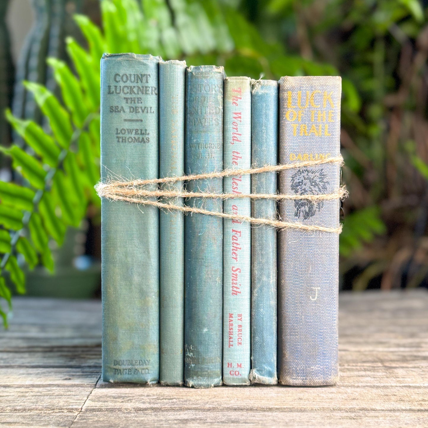 Shabby Old Blue Books for Cozy Shelf Styling