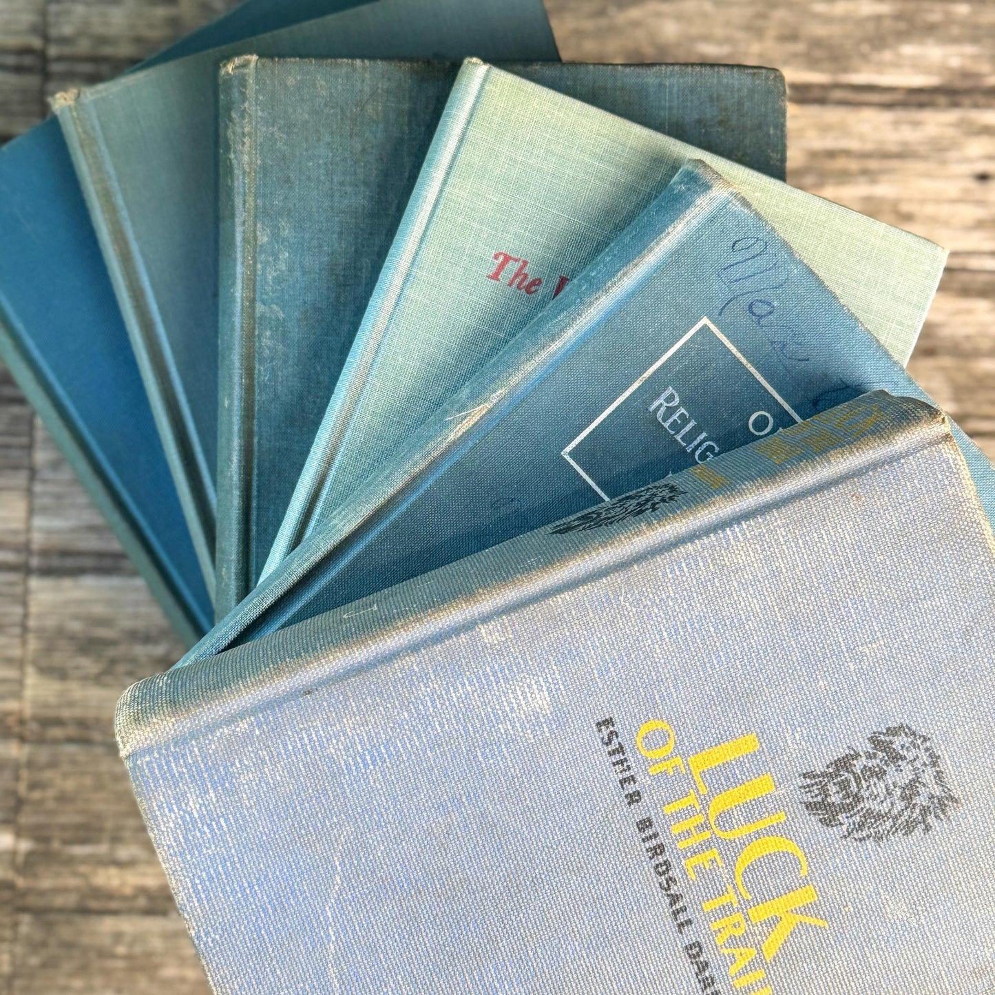 Shabby Old Blue Books for Cozy Shelf Styling