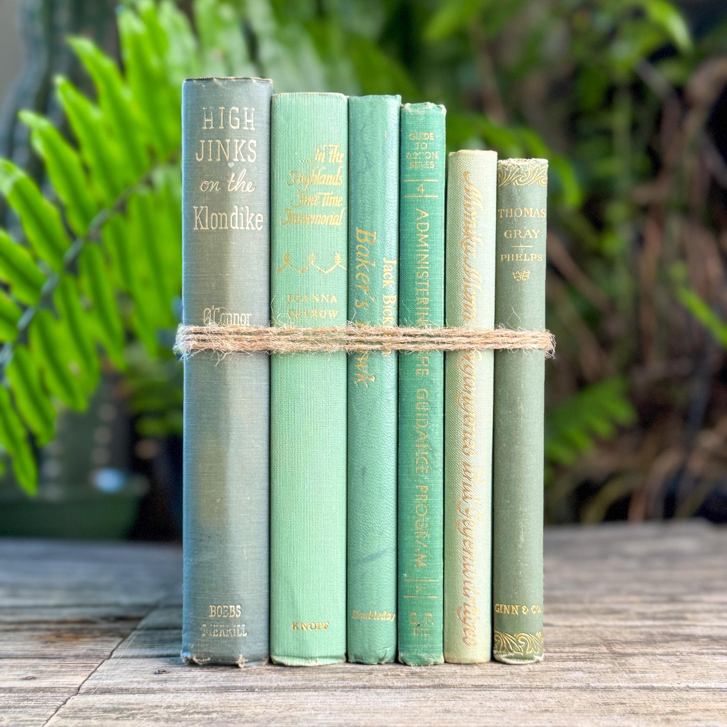 Sea Green, Mint, and Moss Feminine Book Collection