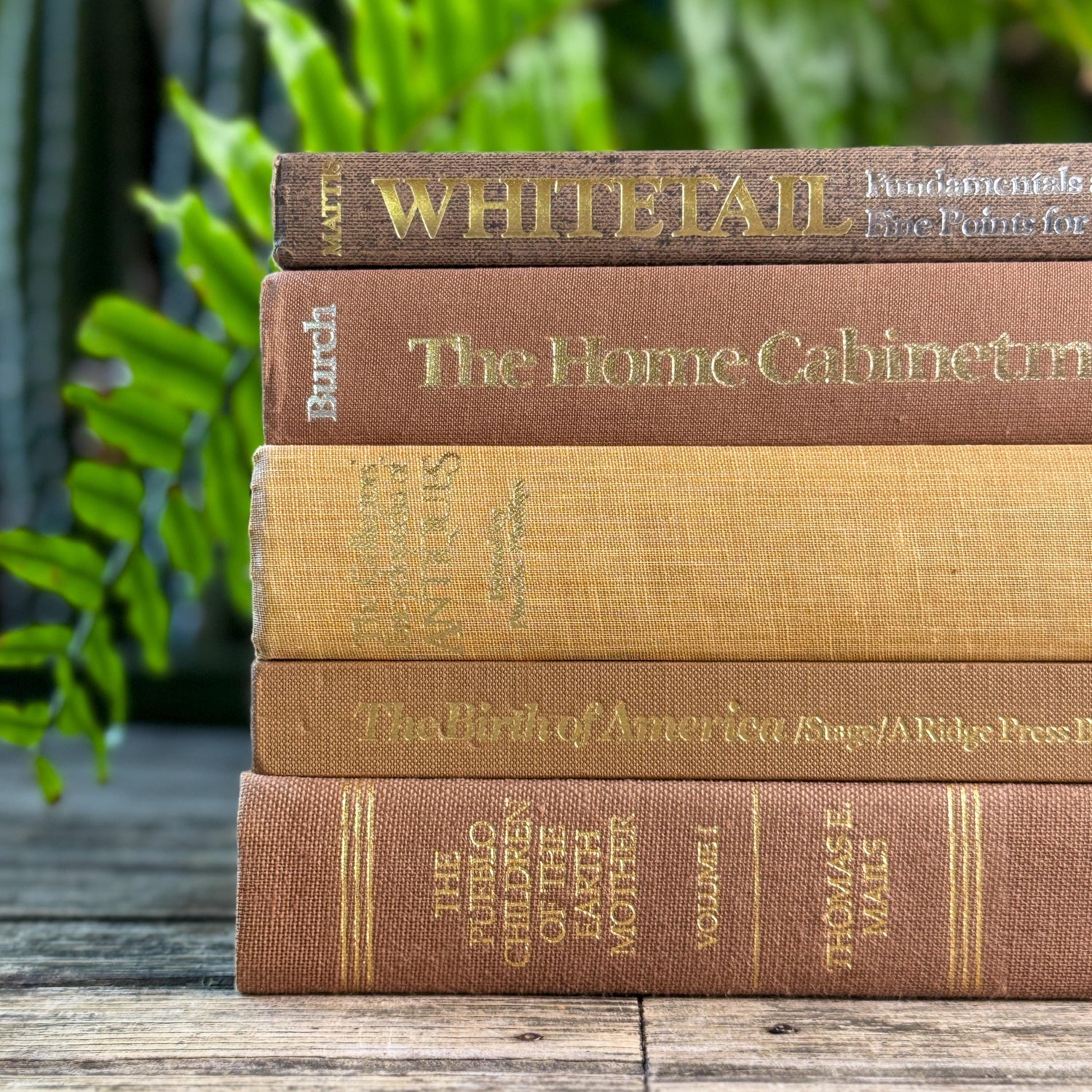 Vintage Neutral Brown, Caramel, and Goldenrod Coffee Table Book Bundle