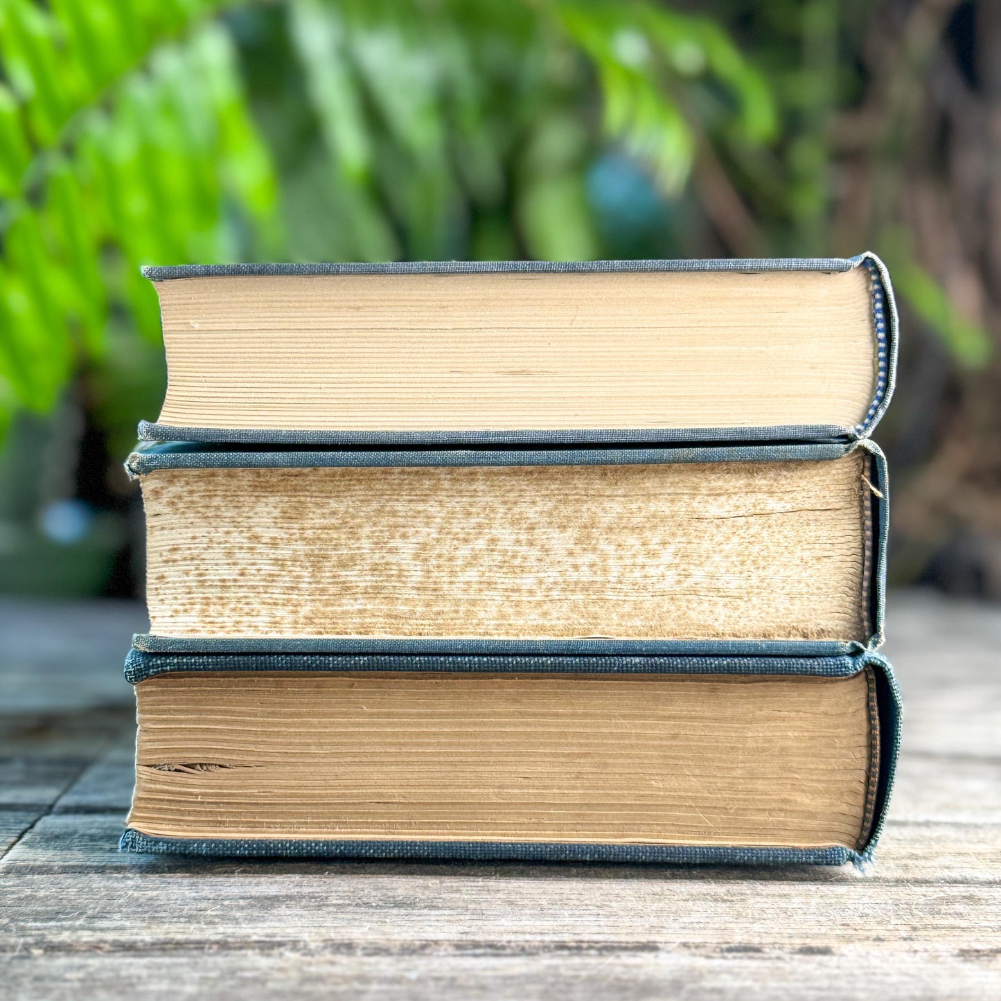 Blue Denim Vintage Oversized Reference Book Set
