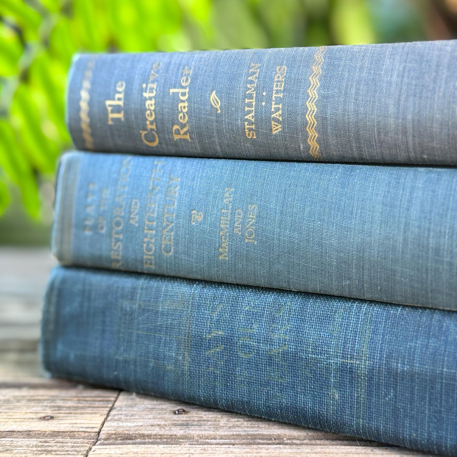 Blue Denim Vintage Oversized Reference Book Set