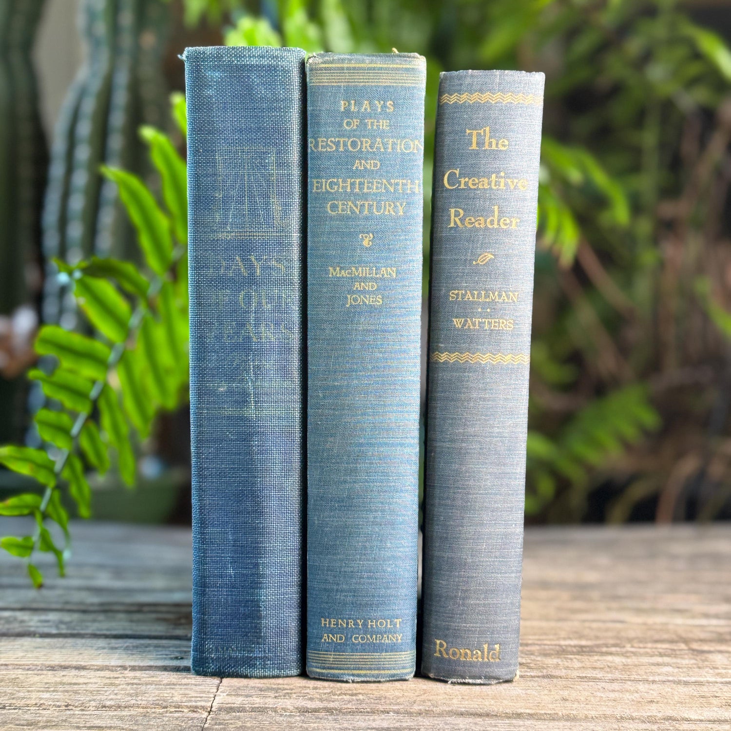 Blue Denim Vintage Oversized Reference Book Set