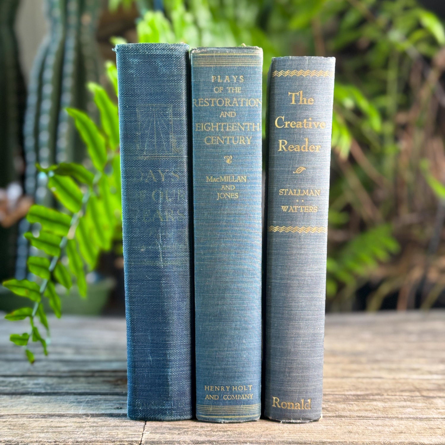 Blue Denim Vintage Oversized Reference Book Set