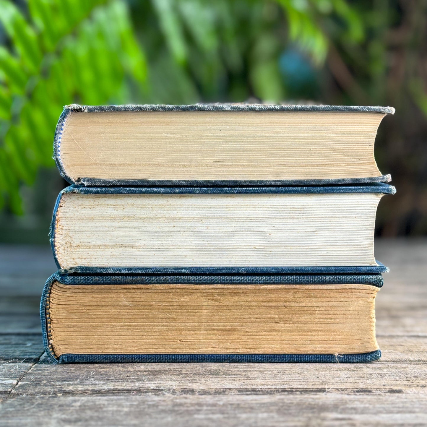Blue Denim Vintage Oversized Reference Book Set
