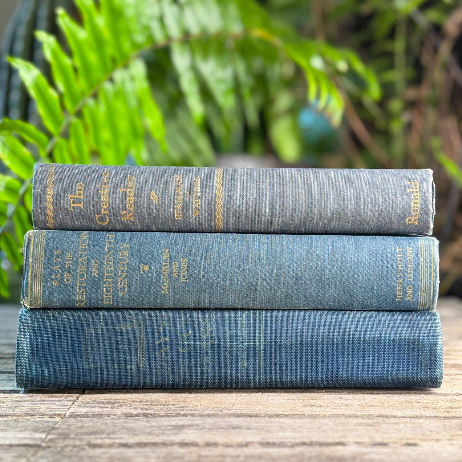Blue Denim Vintage Oversized Reference Book Set