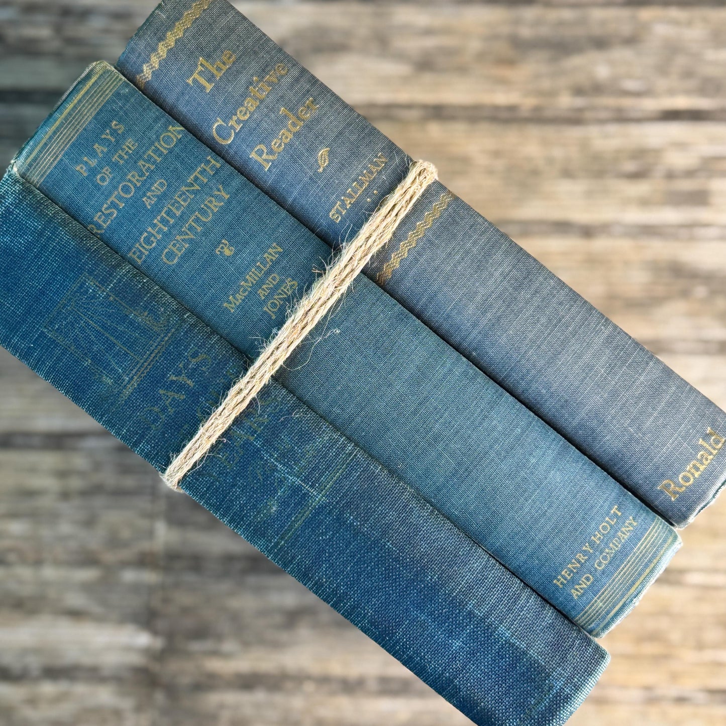 Blue Denim Vintage Oversized Reference Book Set