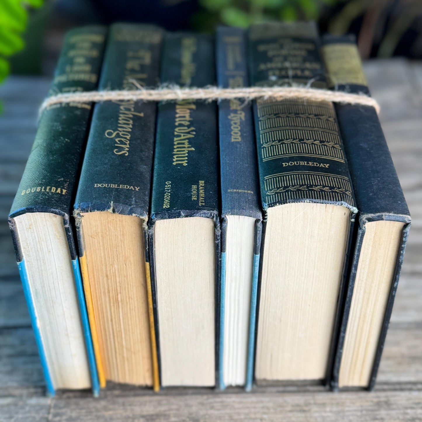 Black and Gold Bold Book Set For Moody Styling