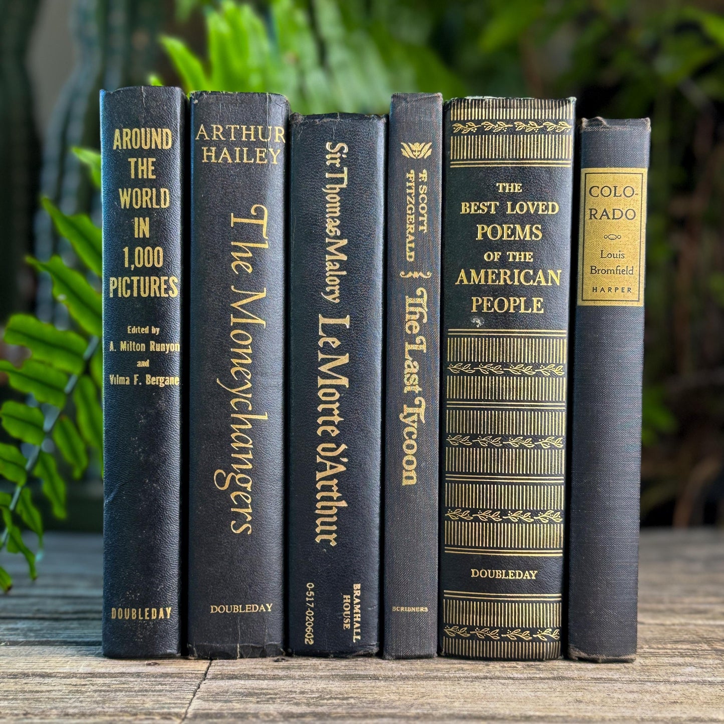 Black and Gold Bold Book Set For Moody Styling