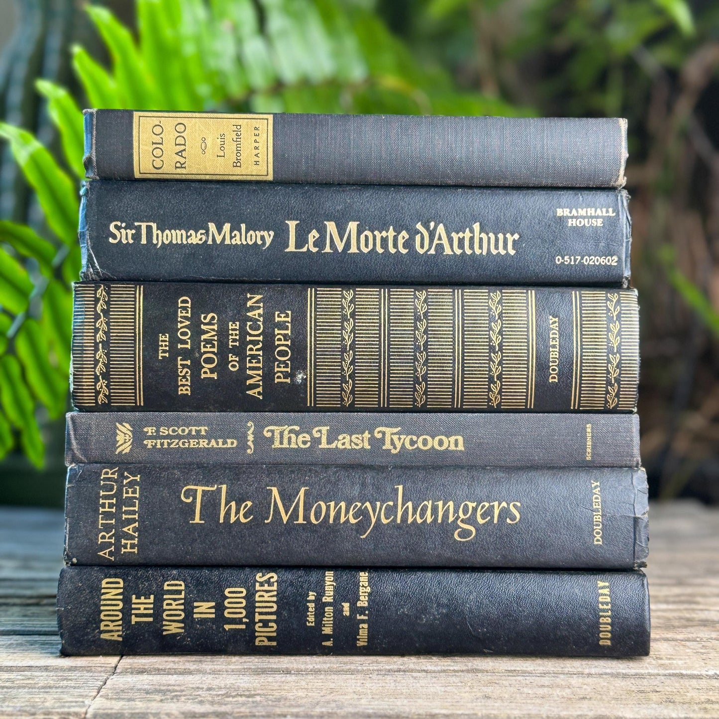Black and Gold Bold Book Set For Moody Styling