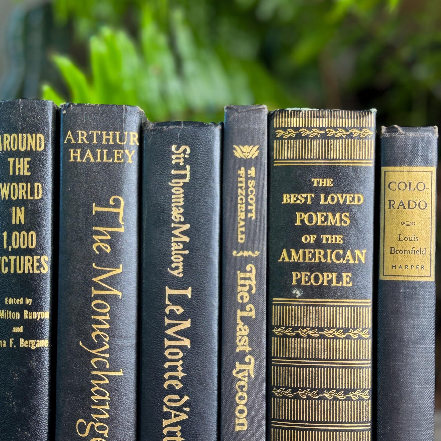 Black and Gold Bold Book Set For Moody Styling