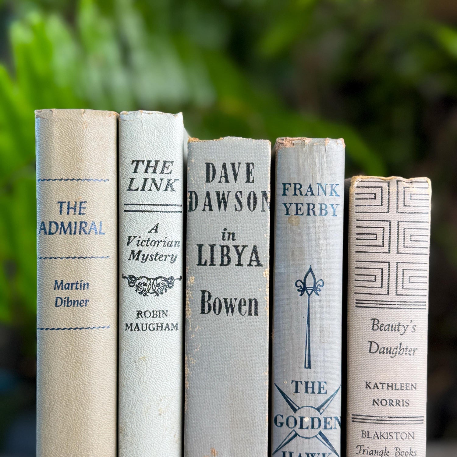 Shabby Neutral Gray Books for Shelf Styling