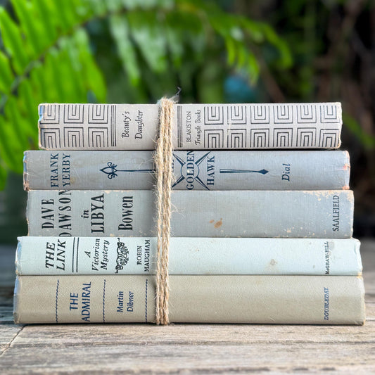 Shabby Neutral Gray Books for Shelf Styling