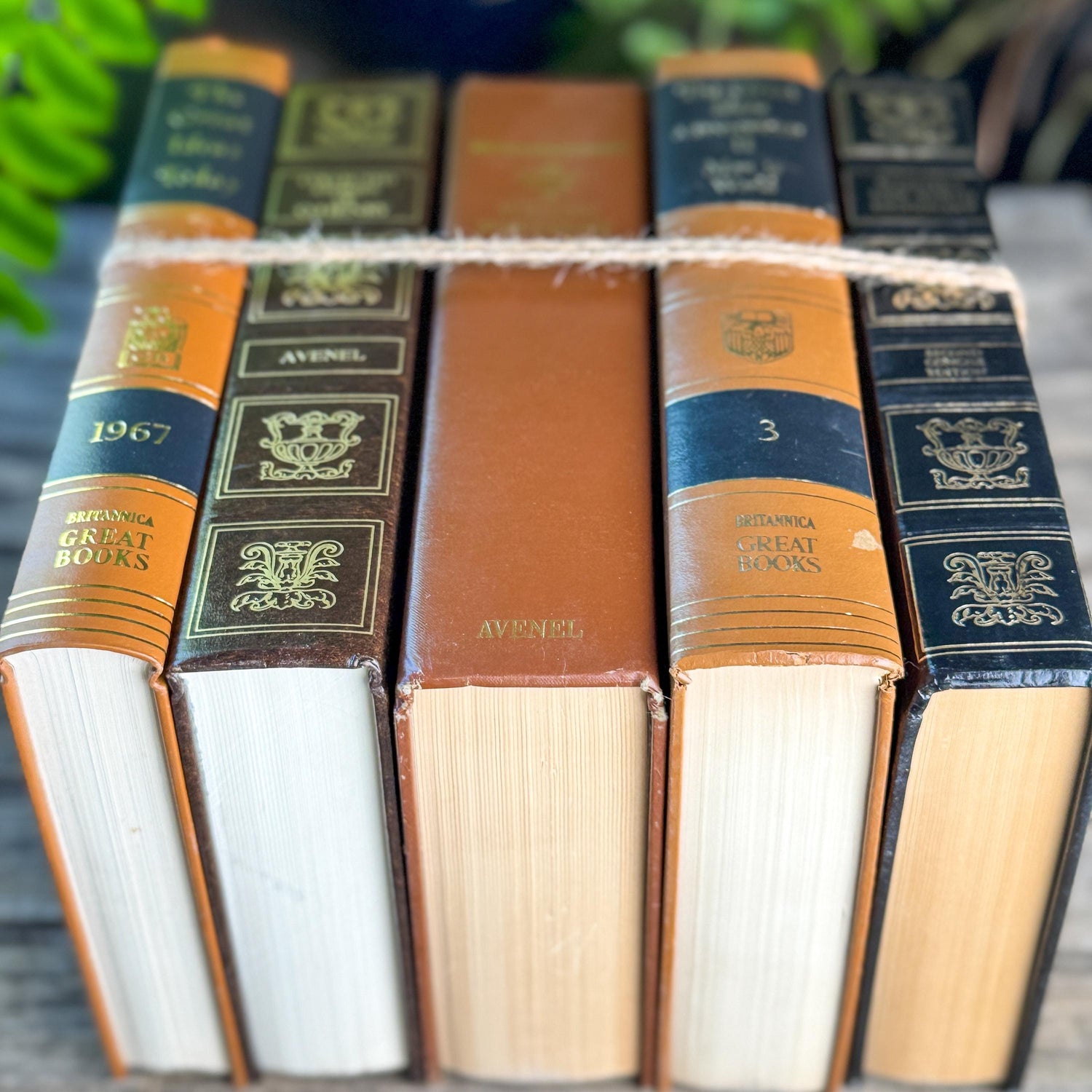 Retro Oversized Brown, Black, and Gold Book Bundle for 60s Styling