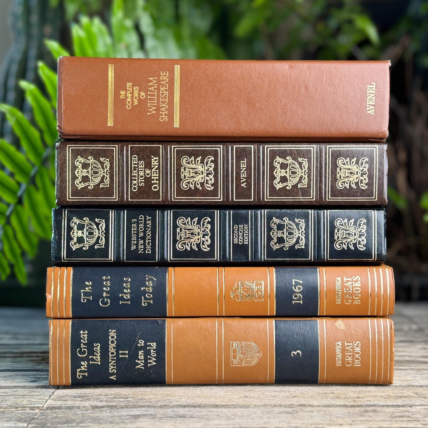 Retro Oversized Brown, Black, and Gold Book Bundle for 60s Styling