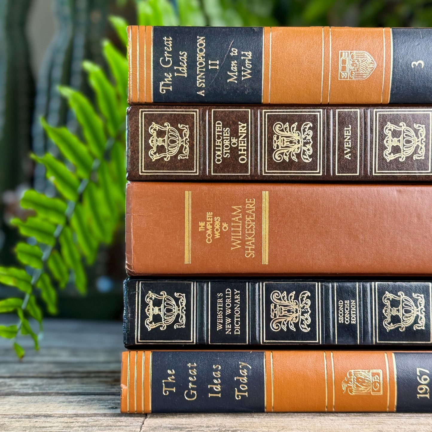 Retro Oversized Brown, Black, and Gold Book Bundle for 60s Styling