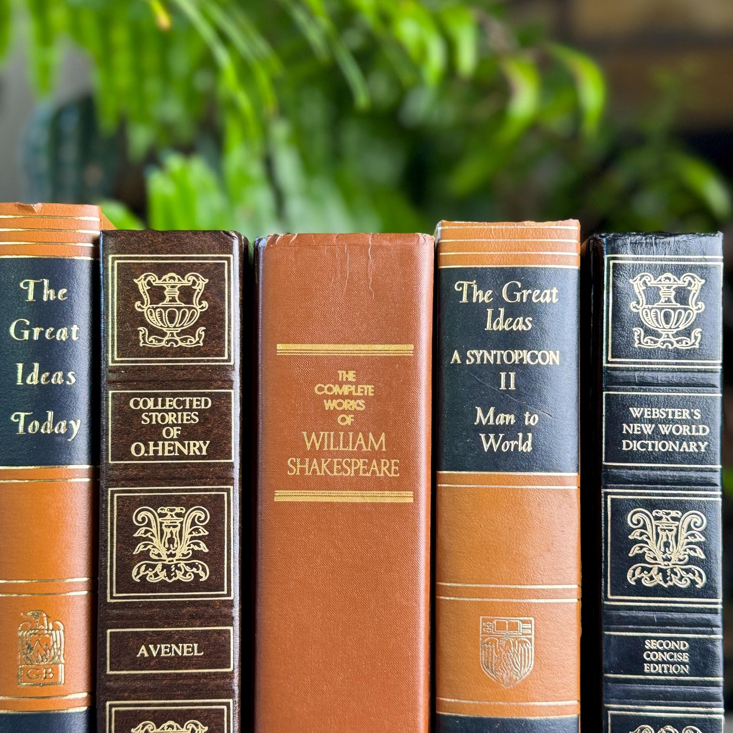 Retro Oversized Brown, Black, and Gold Book Bundle for 60s Styling