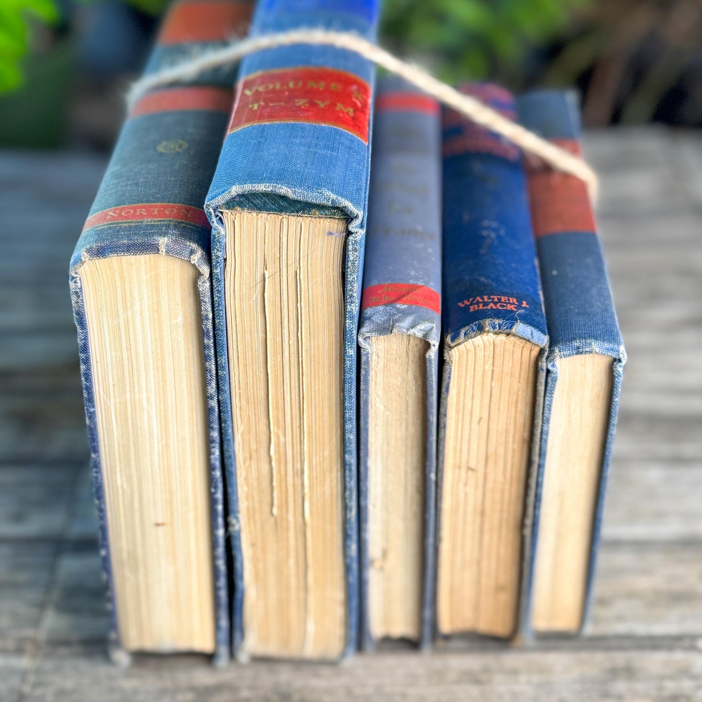 Vintage Blue and Red Book Bundle for Masculine Shabby Decor