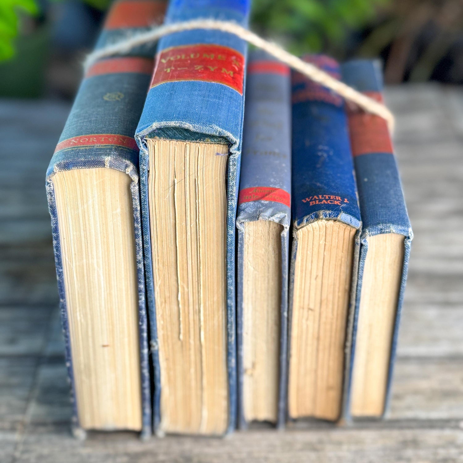 Vintage Blue and Red Book Bundle for Masculine Shabby Decor