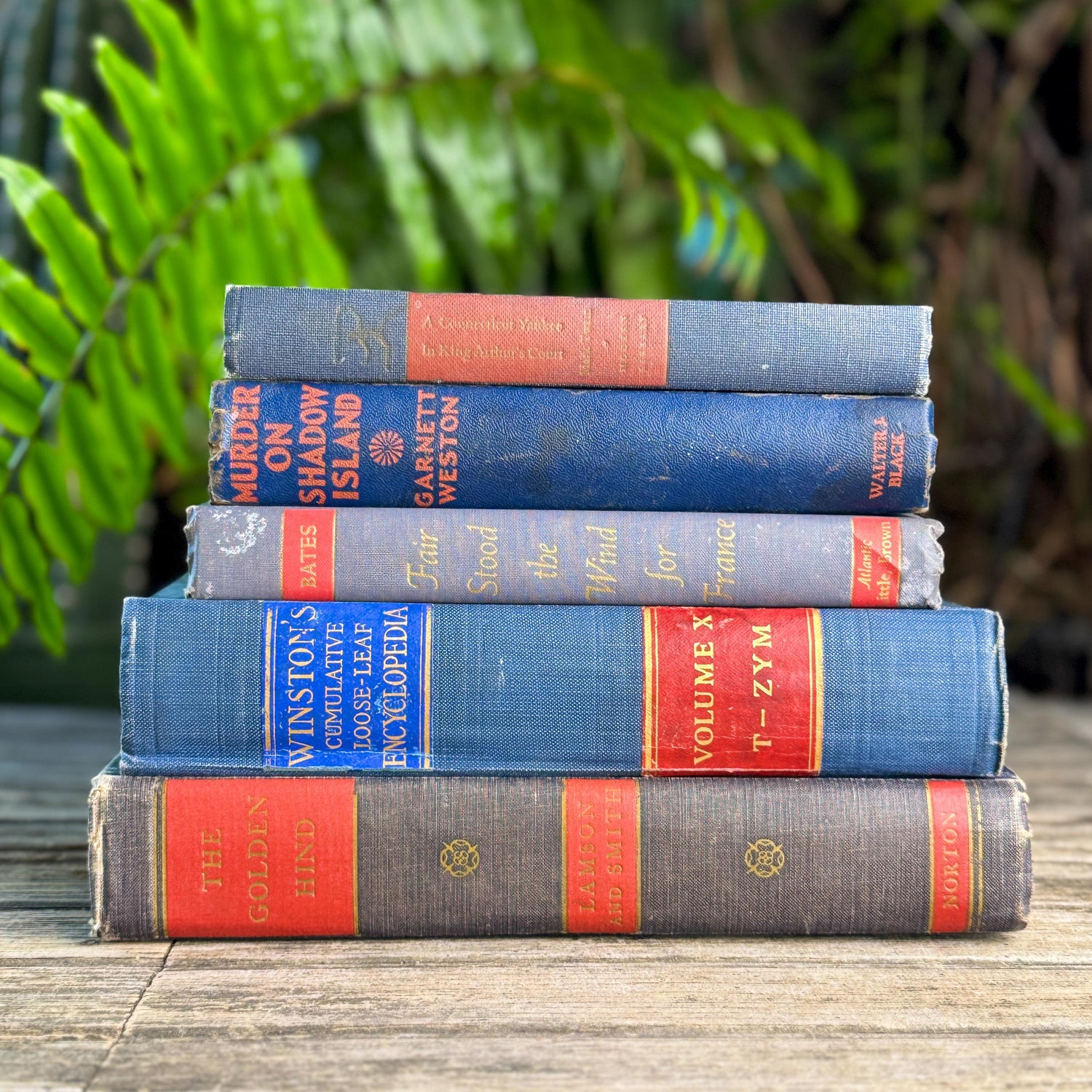 Vintage Blue and Red Book Bundle for Masculine Shabby Decor