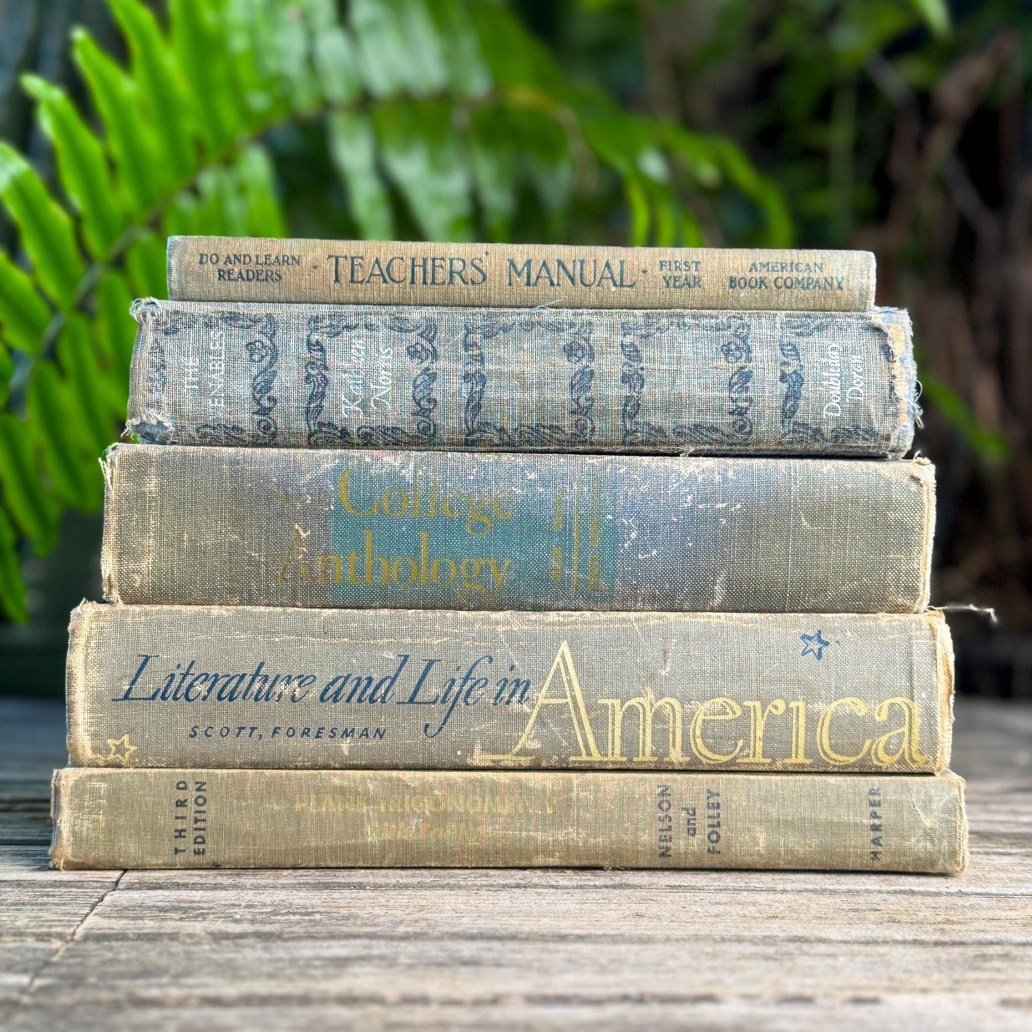 Vintage Schoolbook Bundle in Oversized Faded Gray, Blue, and Sage