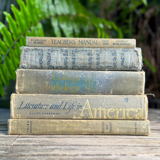 Vintage Schoolbook Bundle in Oversized Faded Gray, Blue, and Sage